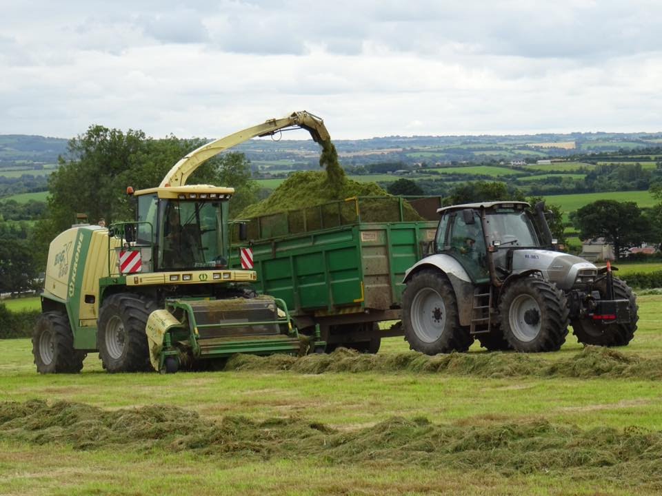 George Ross & Son's Silage 2016