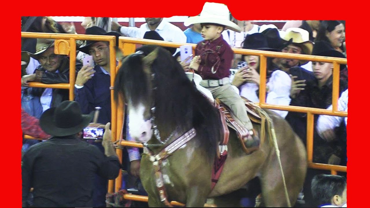 ¡¡¡CHULADA DE CABALLO BAILADOR Y MIRA NOMAS QUIEN LO MONTA!!!