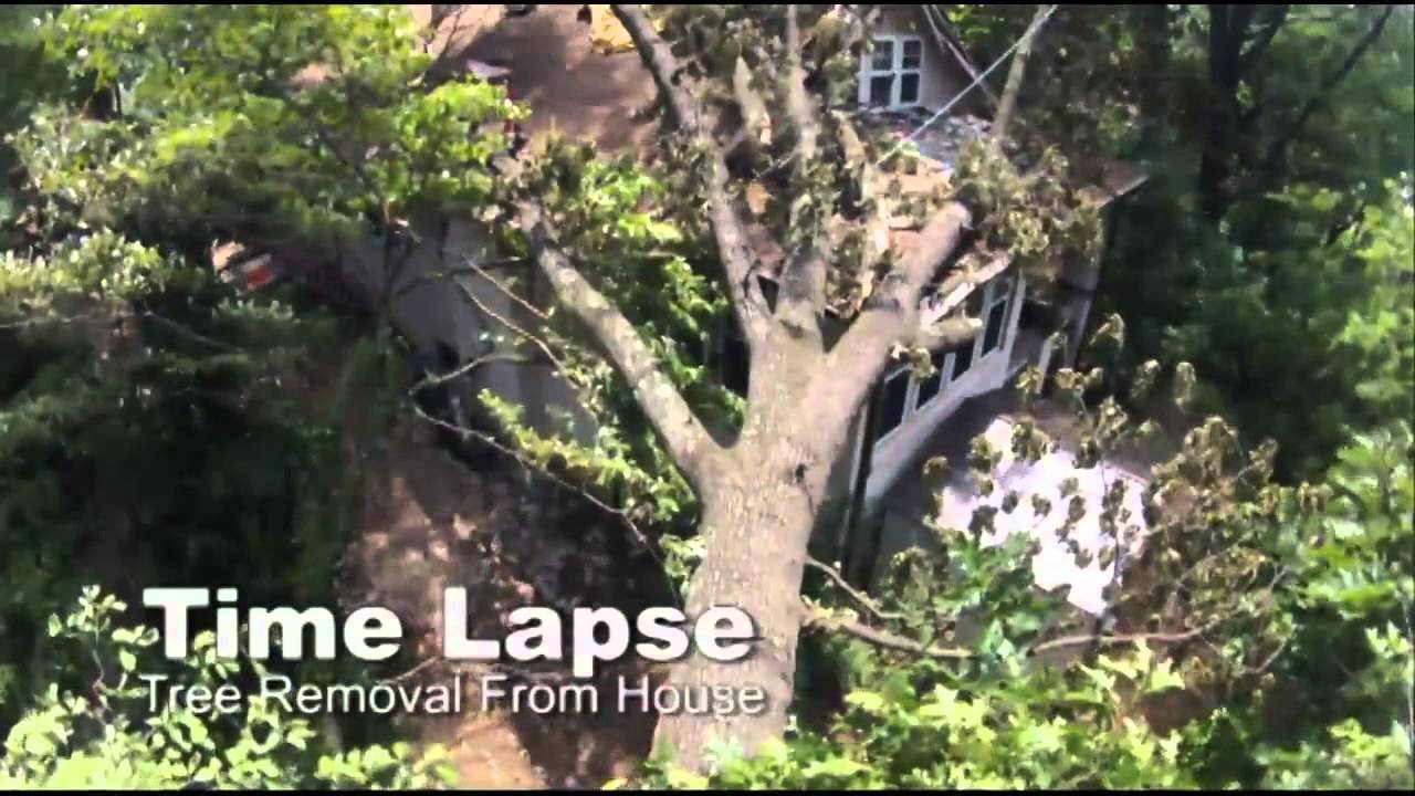 Removing a Storm Damaged Oak tree off roof in Salem