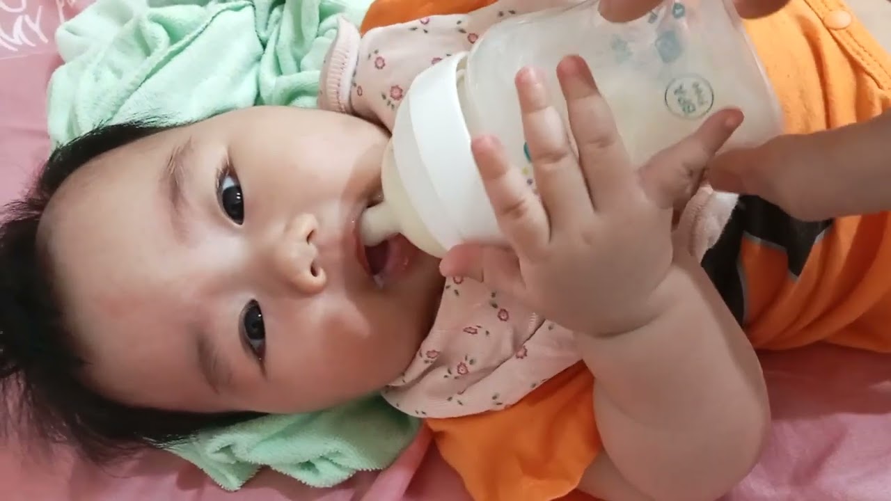 thị gạo tự tu bình sữa