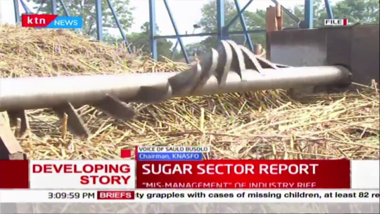 Sugar Sector Report: Consumers to pay Sugar Levy, privatization listed as a priority
