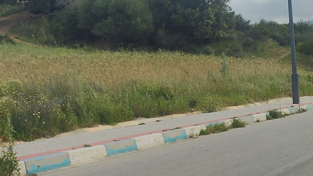 بقعة أرضية للبيع في طنجة ملوسة جات على الطريق الرئيسي تمن 500درهم للمتر وفيها المفاهمة