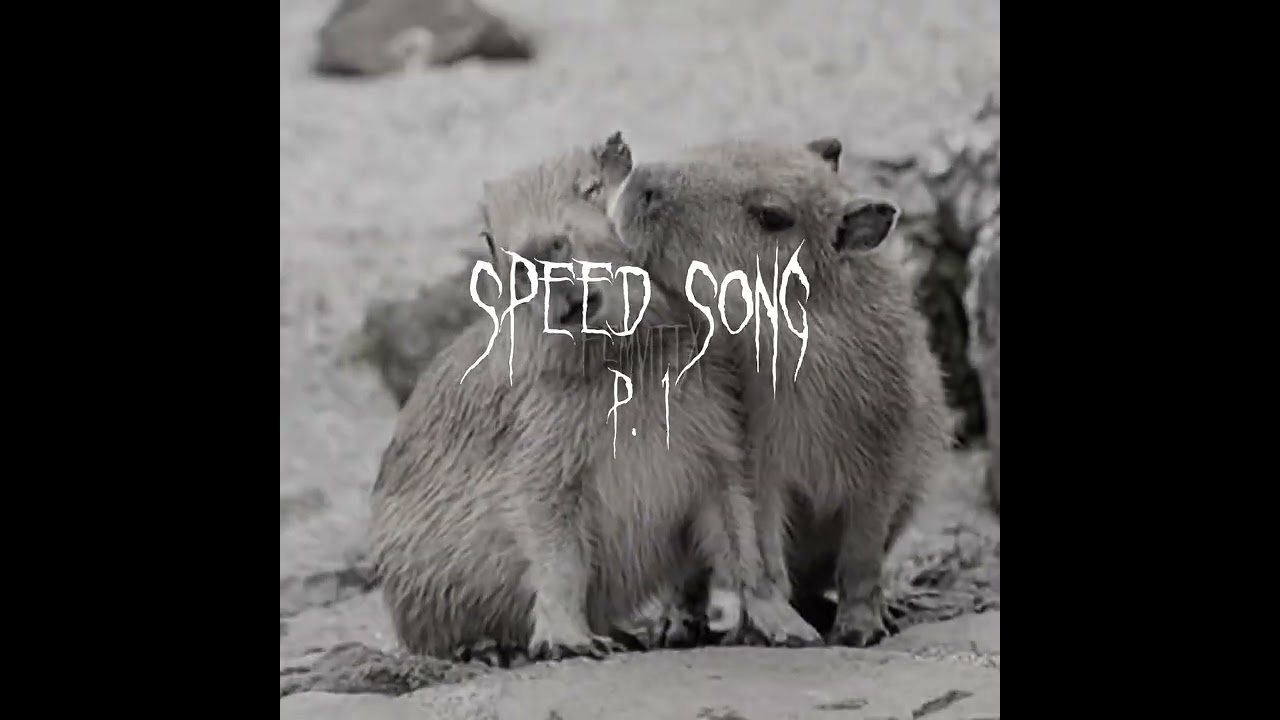 лёша свик - светофоры🚦speed song