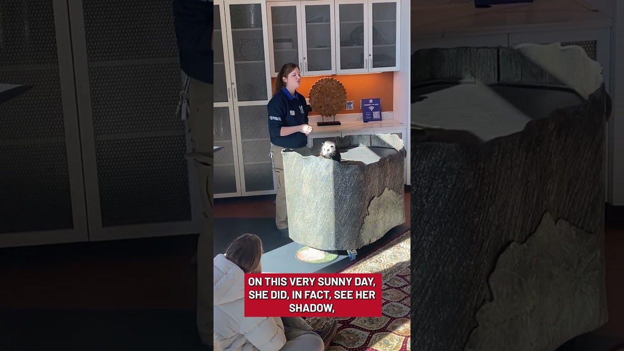 Birmingham Jill sees her shadow