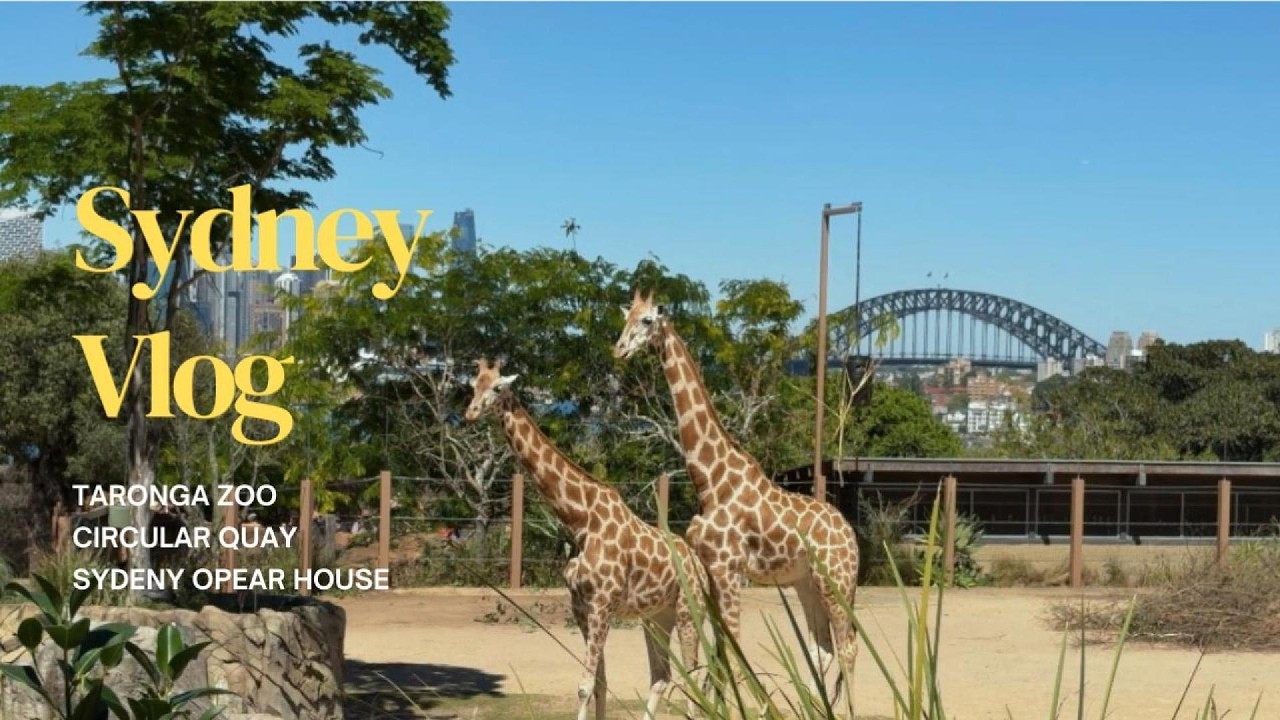 Sydney Vlog ‖ 雪梨最美動物園Taronga Zoo🐨 | 渡輪視角欣賞雪梨歌劇院