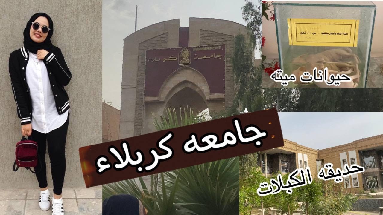 فلوك 2 جامعة كربلاء - اجواء الدوام بالجامعة واقسام الجامعة رحنة للبيطرة وحديقة المكبلين😂🏛🏛