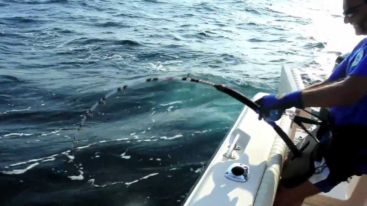 pesca al tonno rosso, passione e rispetto, catch & release