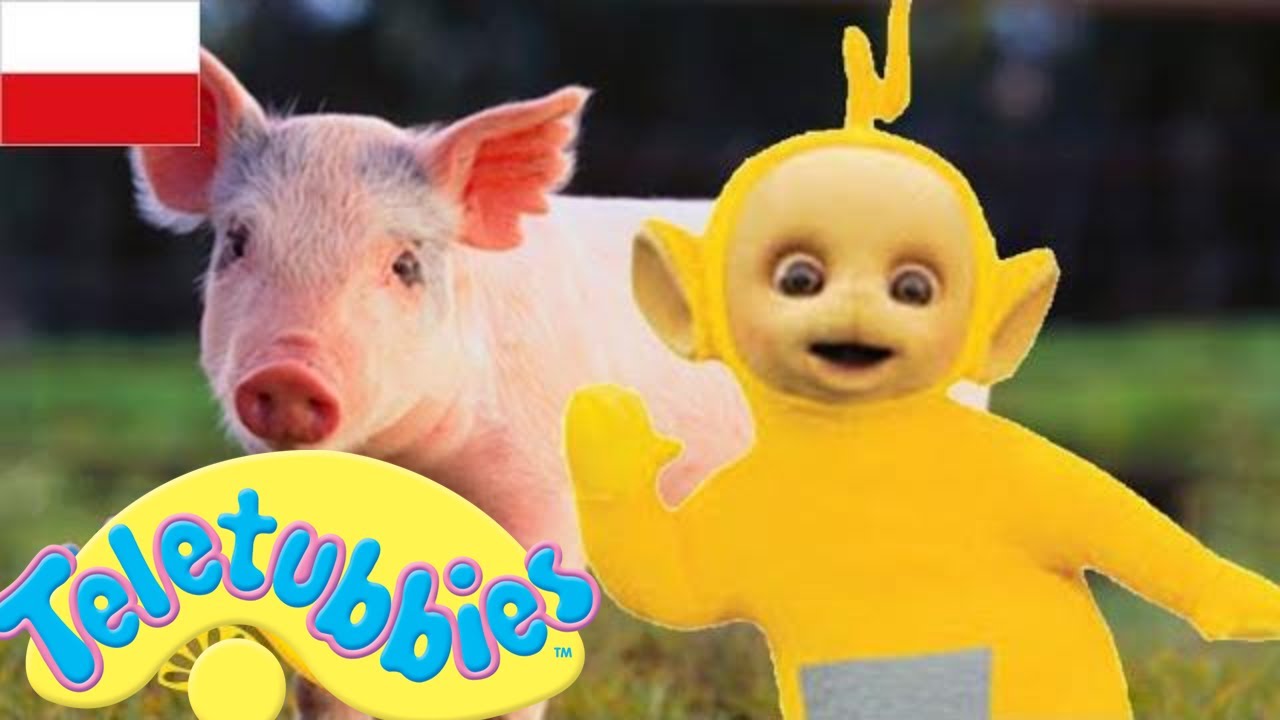 Teletubisie Po Polsku - Mix numer 1 DOBRA JAKOŚĆ (Pełny odcinek) | Bajki dla dzieci