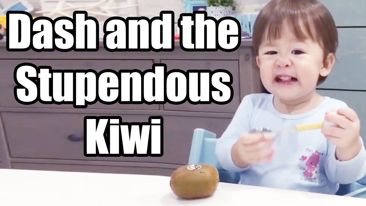 Baby Dash and the Stupendous Kiwi (1yr 6m)