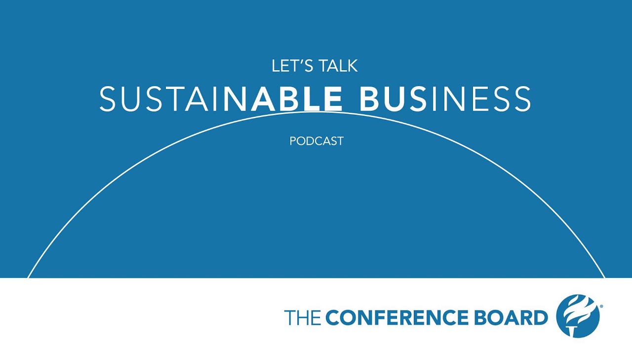 A Brief History of Corporate Sustainability: A conversation with John Elkington