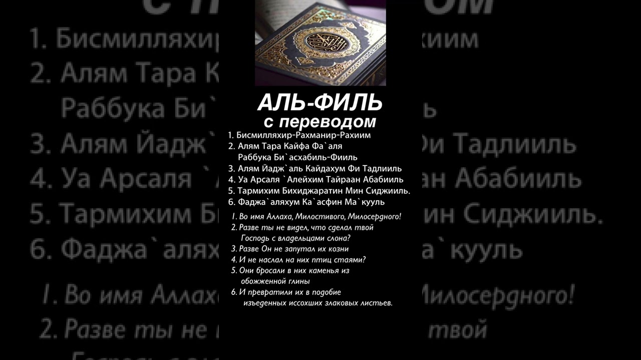 Сура Аль-Филь #ислам #коран #сурымолитвы #аятыкорана #суры #альфиль