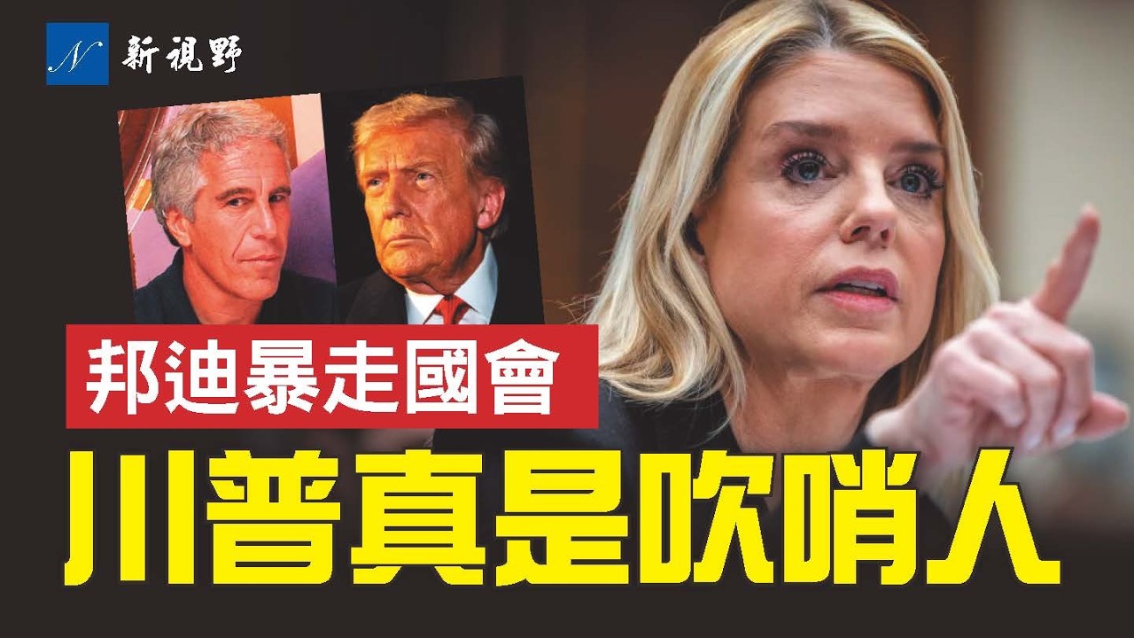 愛潑斯坦檔案新發現，川普角色大反轉！邦迪暴走國會，怒嗆納德勒，氣走巴林特。#愛潑斯坦 #邦迪 #川普 | 新視野 第2184期 20260212