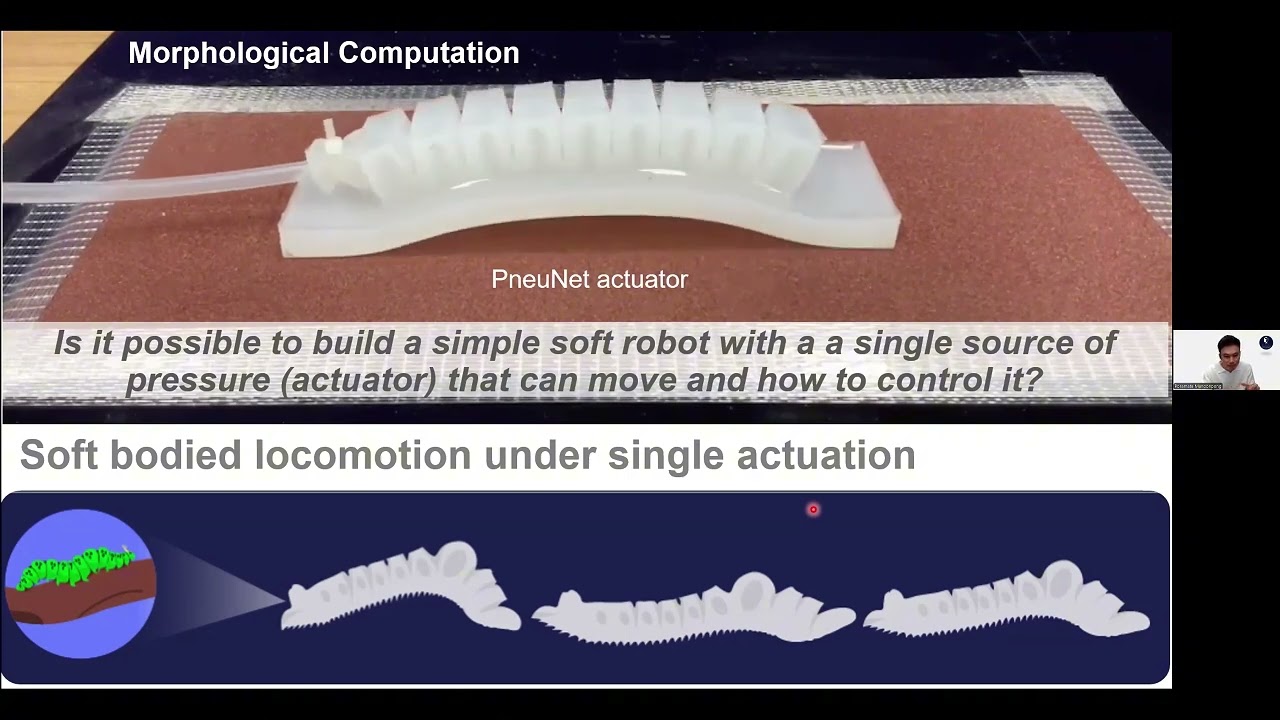 Poramate Manoonpong EMBODIED INTELLIGENCE IN SOFT ROBOTICS  FROM MORPHOLOGICAL TO NEURAL COMPUTATION