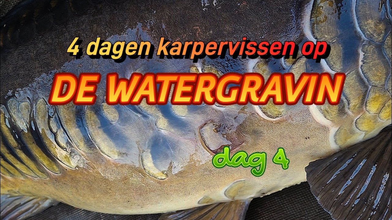 4 dagen karpervissen op de watergravin!! Dag 4!