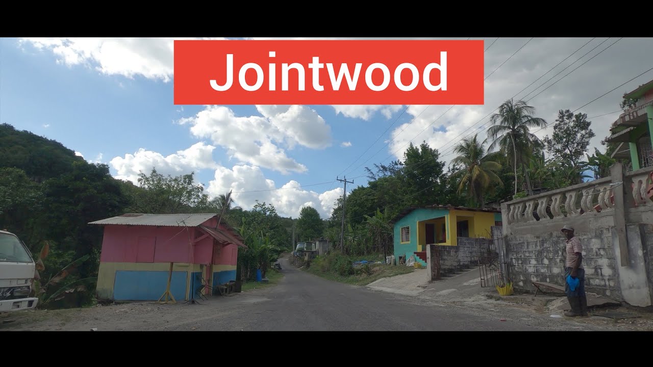 Jointwood, St Elizabeth, Jamaica