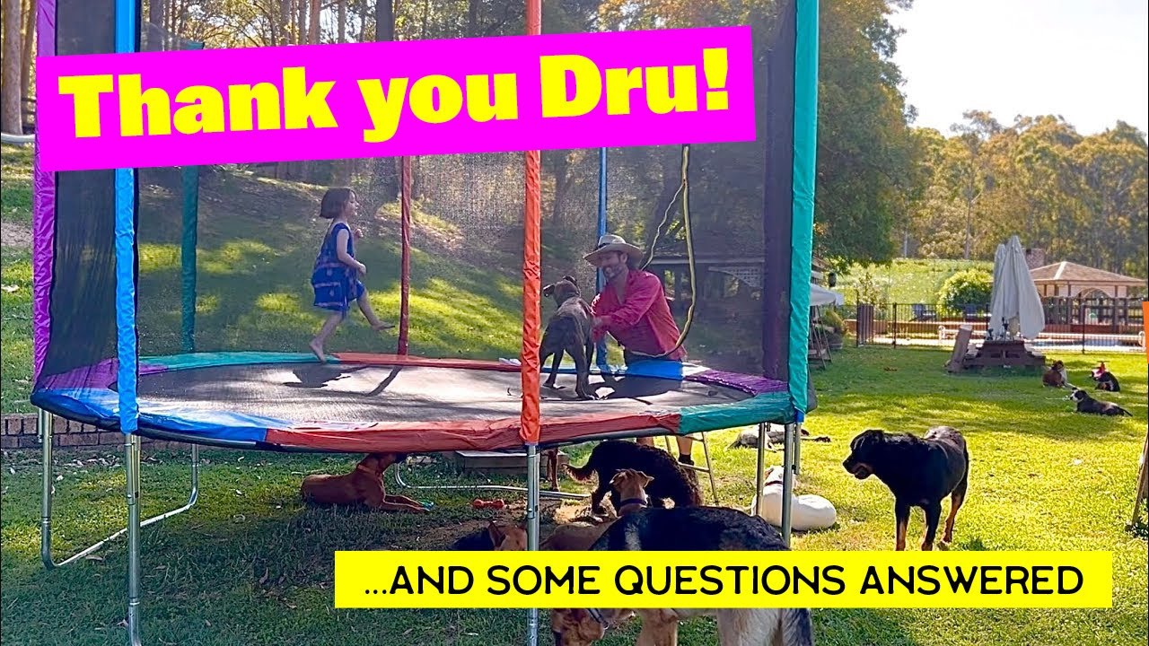 Family that Helps Shelter Dogs Receives Trampoline as Gift
