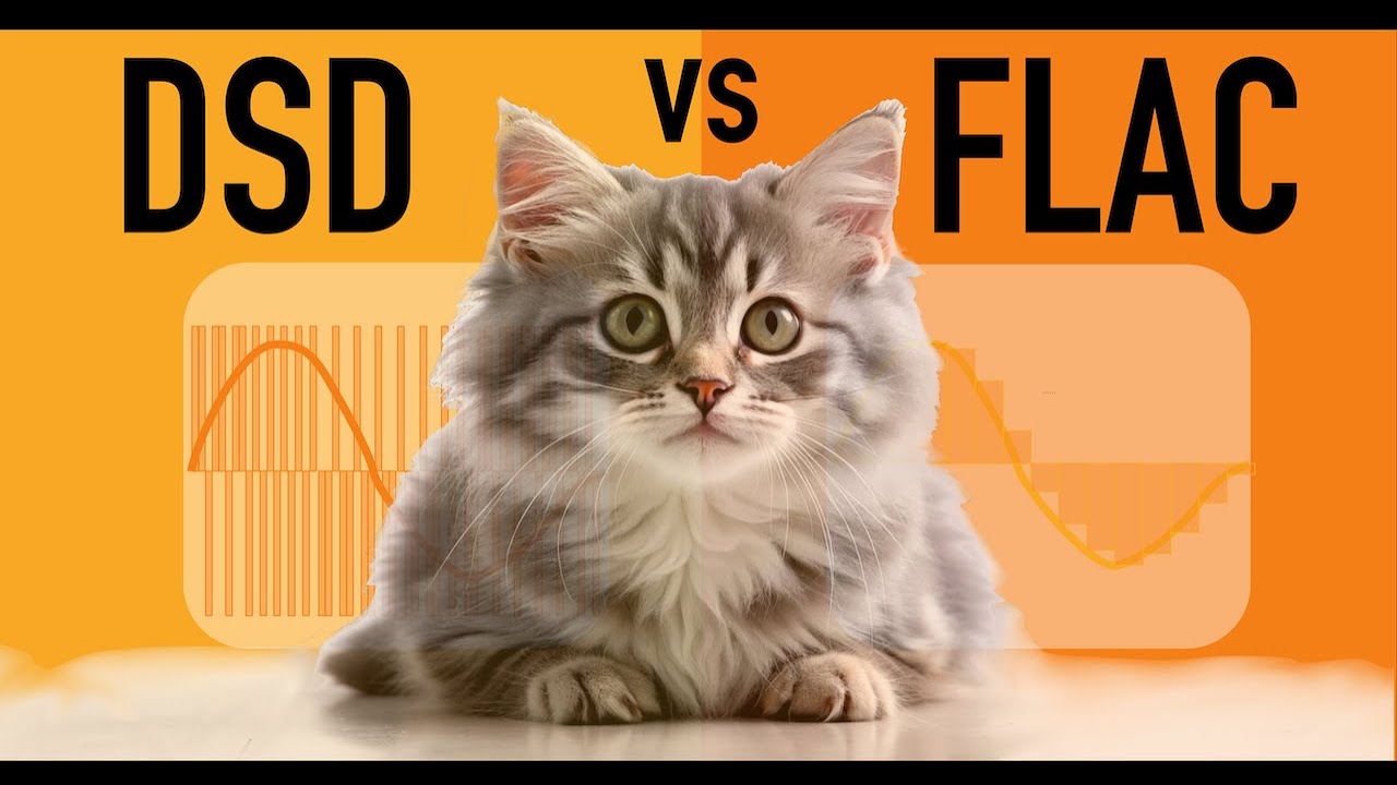 DSD vs FLAC (DSD vs PCM) [15 Key Point Guide]