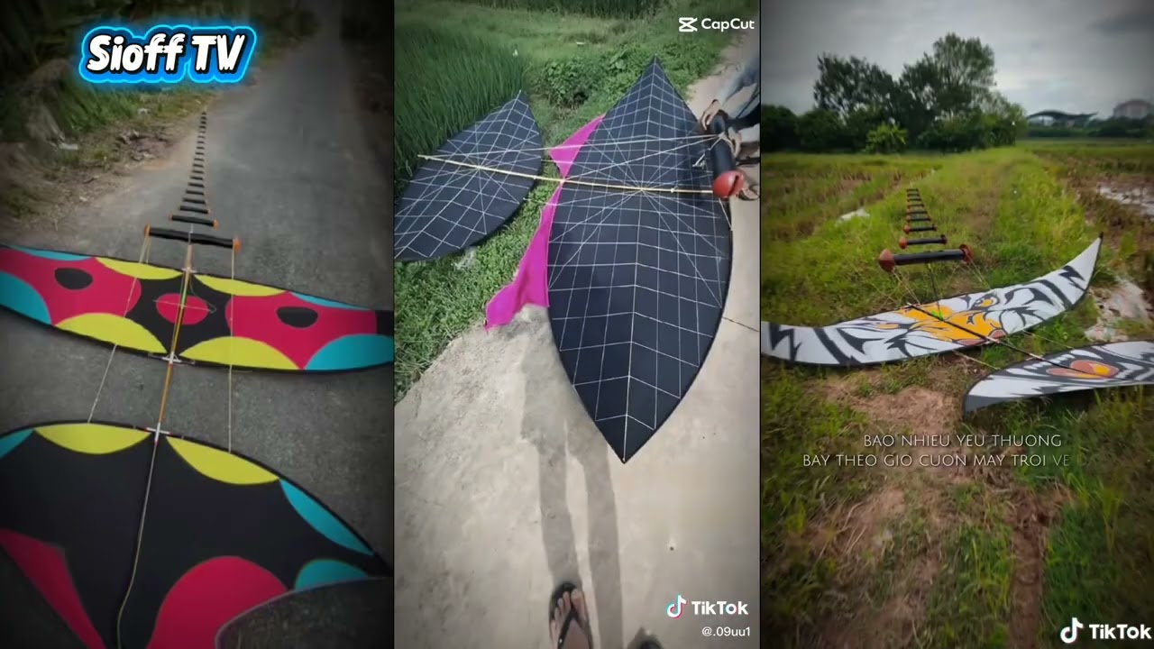 [ Tiktok ] chip diều sáo VN #21