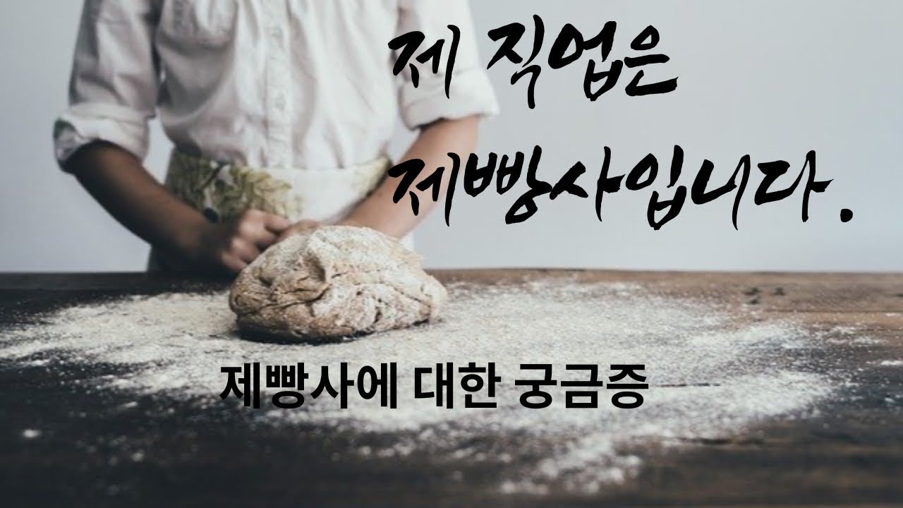 제 직업은 제빵사입니다. 제빵사에 대한 궁금증(급여 / 업무강도) 해결해드립니다!