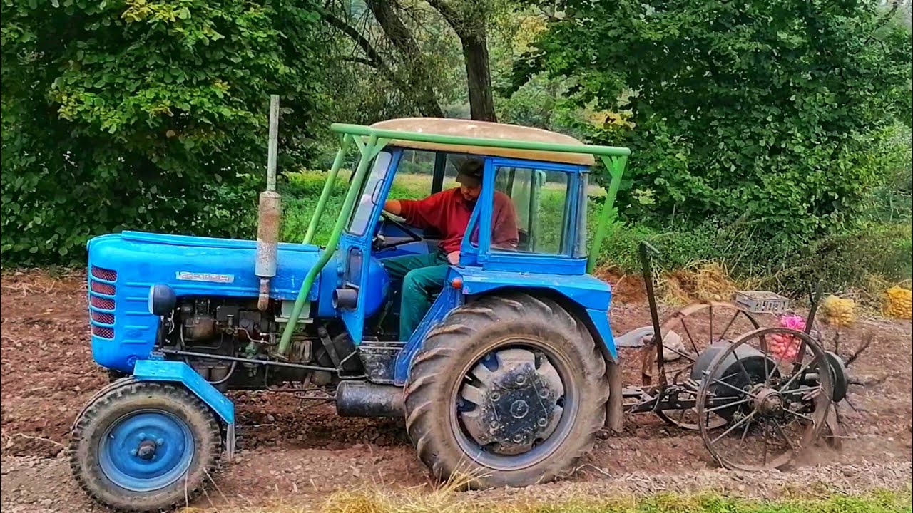 Vyorávání brambor 2021 | Zetor 3011 & čert