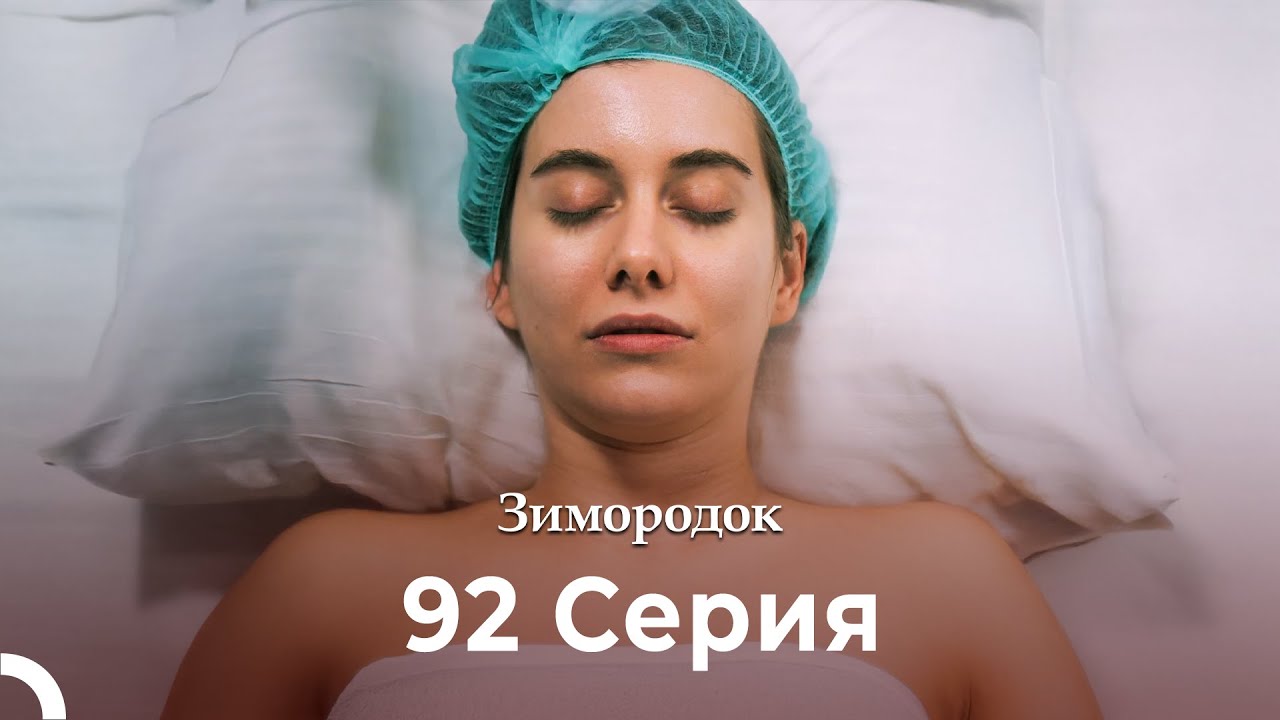 Зимородок 92 Cерия (Русский дубляж) (4K)