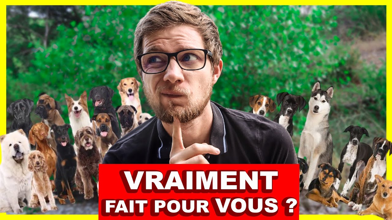 Comment Choisir son CHIEN - La Meilleure Race