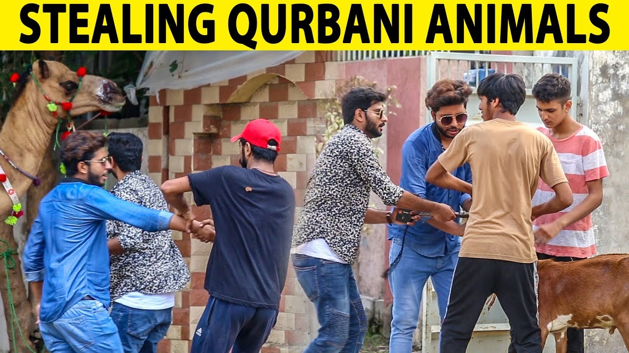 Qurbani Prank on Strangers - Bakra Eid Special - Lahori PrankStar