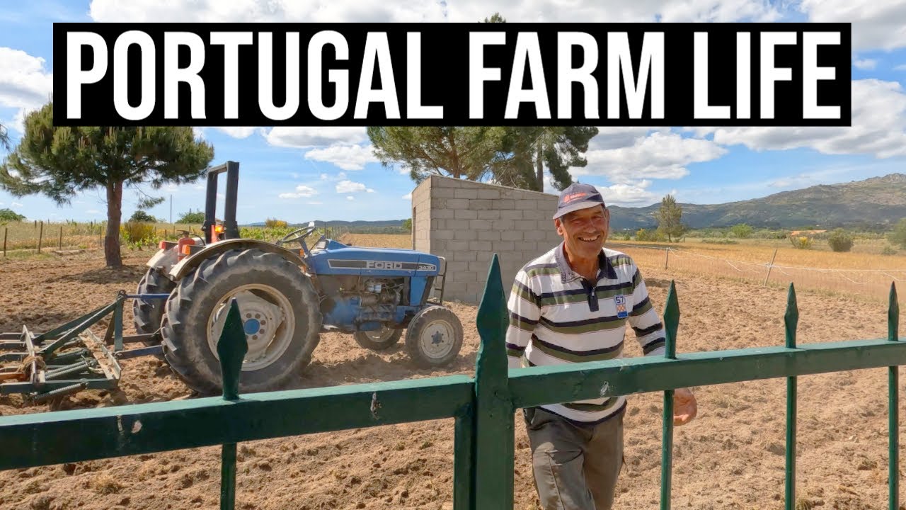 Will this help to beat the extreme drought? | PORTUGAL FARM LIFE