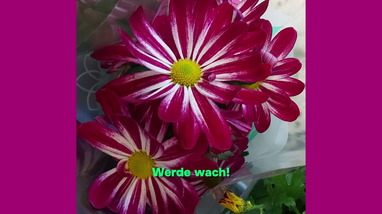 Gedicht zu Lektion 51 - Kurs in Wundern