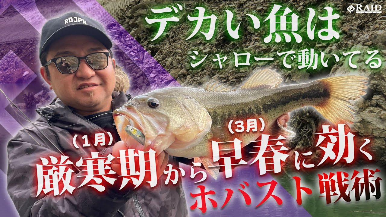 デカイ魚はシャローで動いてる!!厳寒期(1月)から早春(3月)に効く