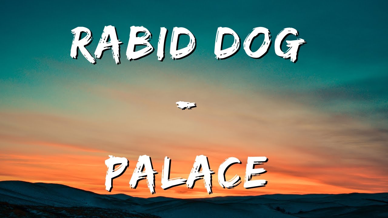 Palace -  Rabid Dog (Lyrics)