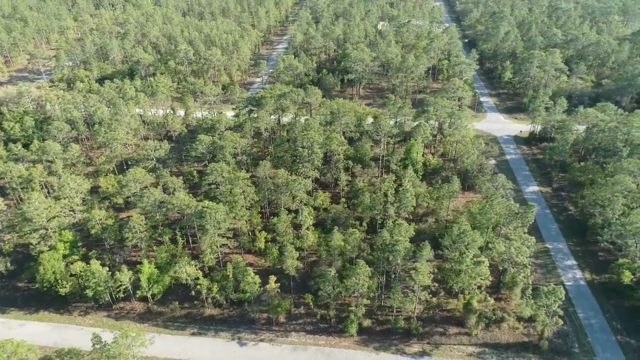 SW Temple Heights Ct Dunnellon, FL 34431