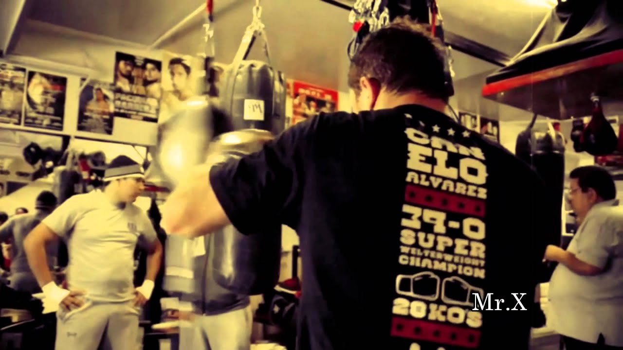 Canelo Alvarez Highlights ( Young Phenom )