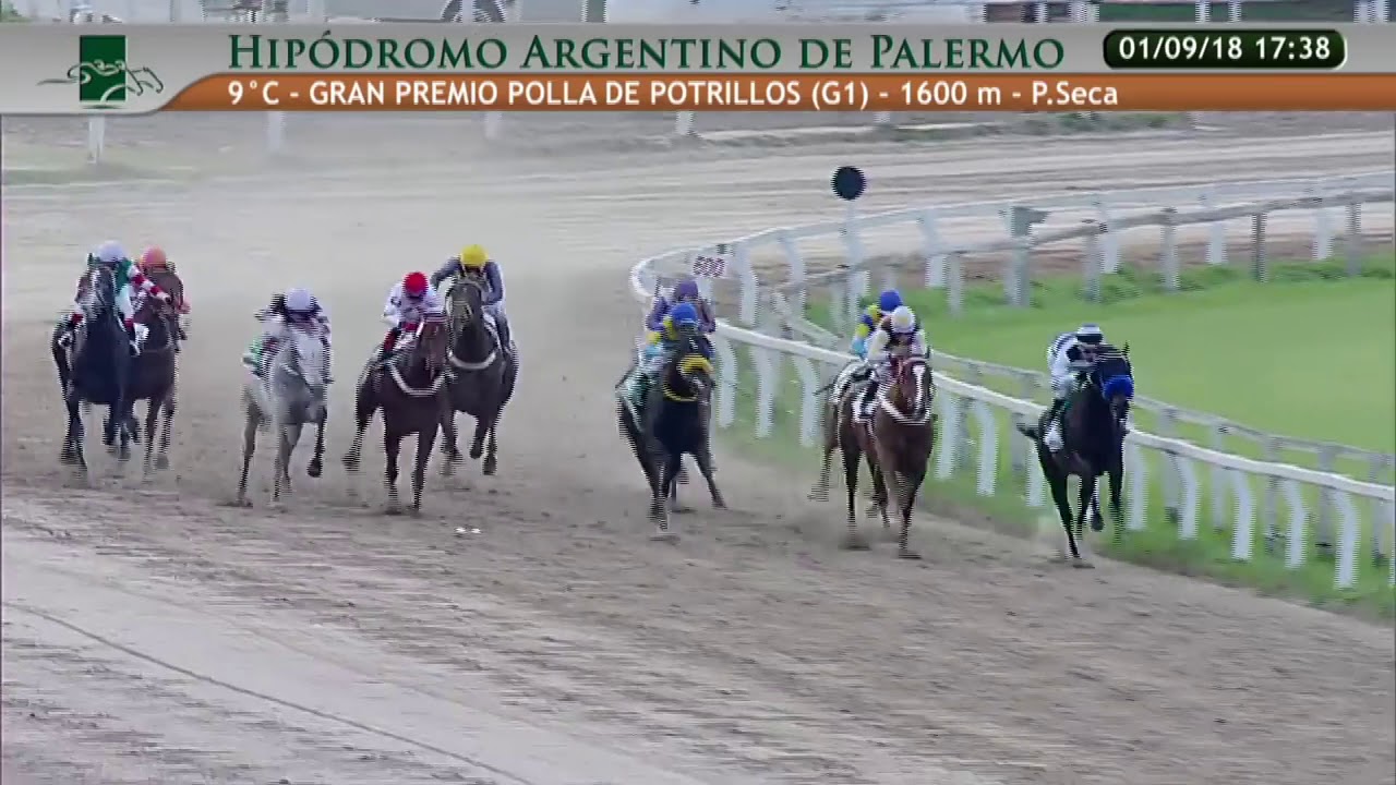 AMERICAN TATTOO - Gran Premio Polla de Potrillos (G1) - Palermo - 1/9/2018