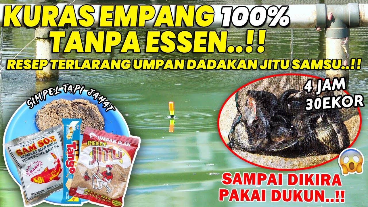 RESEP JAHAT UMPAN DADAKAN PELET JITU SAMSU !! 100% TANPA ESSEN BIKIN KURAS EMPANG SEMUDAH INI ❗❗