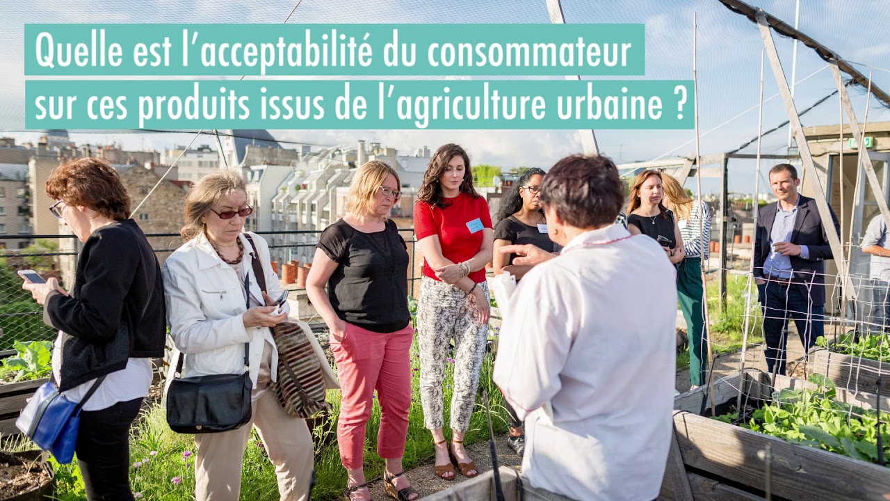 L'agriculture urbaine une solution d'avenir?