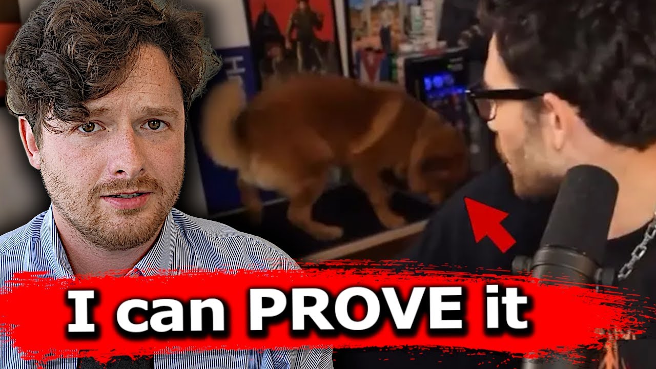 It's a shock collar and I can prove it