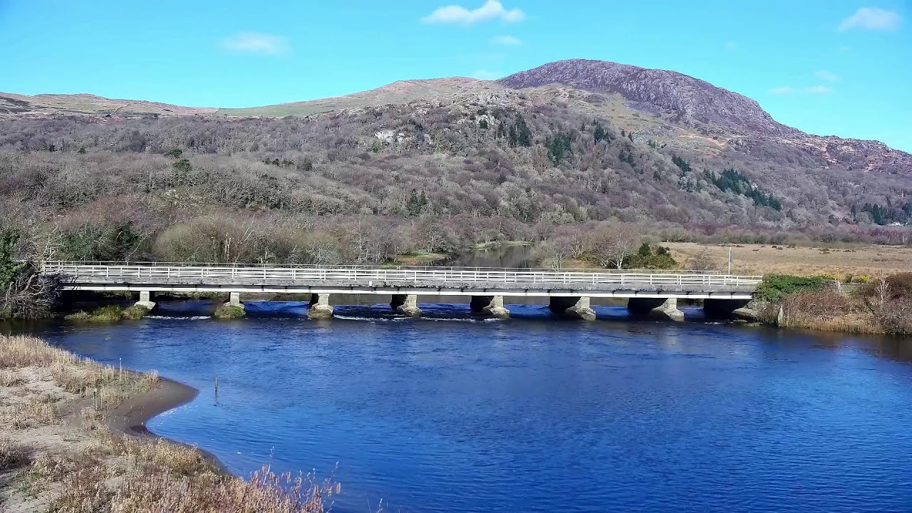 Bywyd Gwyllt Glaslyn Wildlife - Ffrwd Byw / Live Stream 2