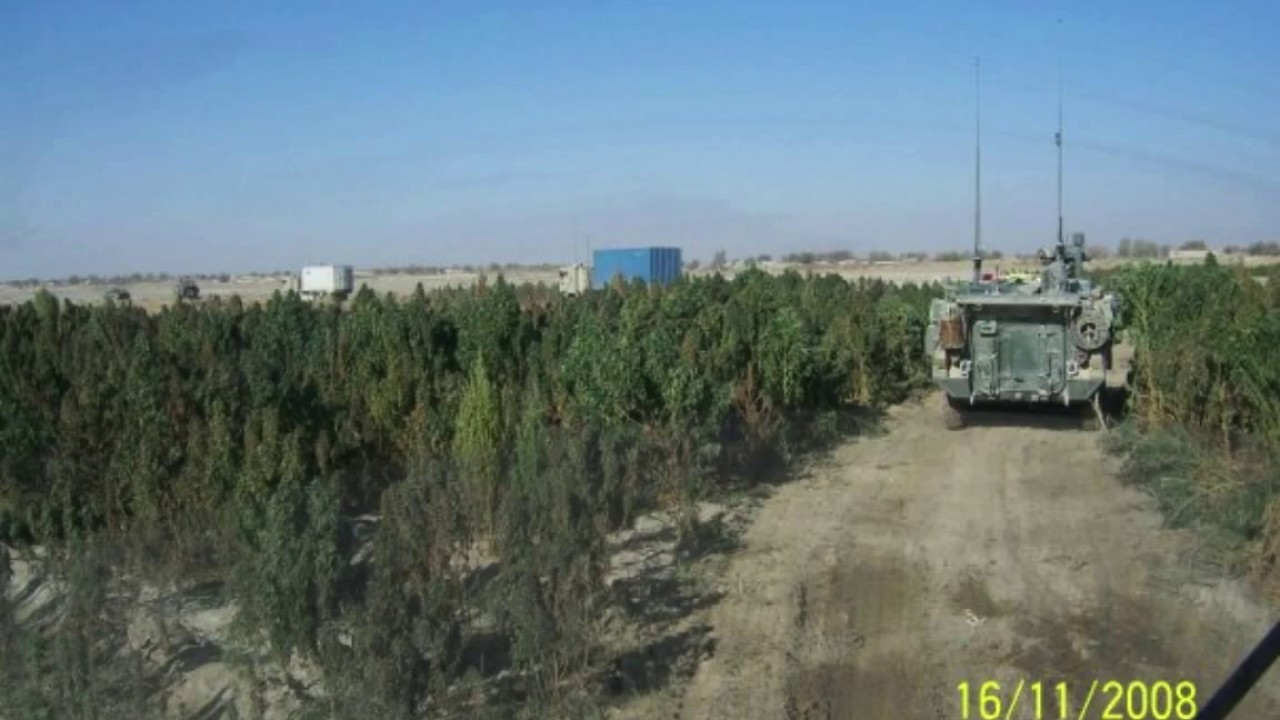 in afghanistan and huge pot fields