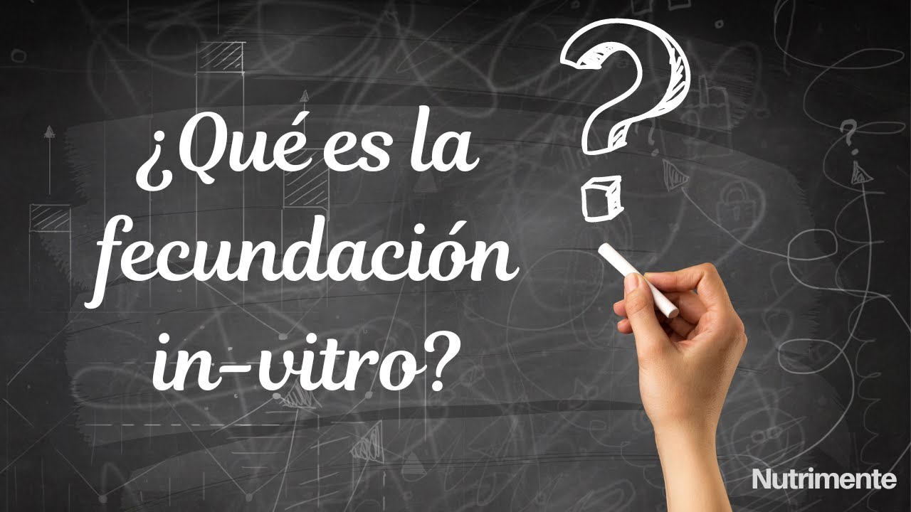 ¿Qué es la fertilización in vitro? Ciencia y reproducción asistida