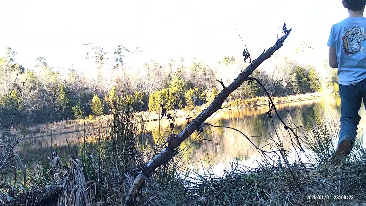 fishing take #3 and close up of bufflehead ducks