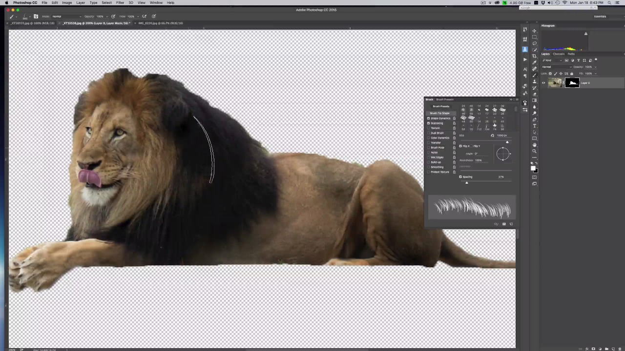 Episode 7 Masking Animal Fur