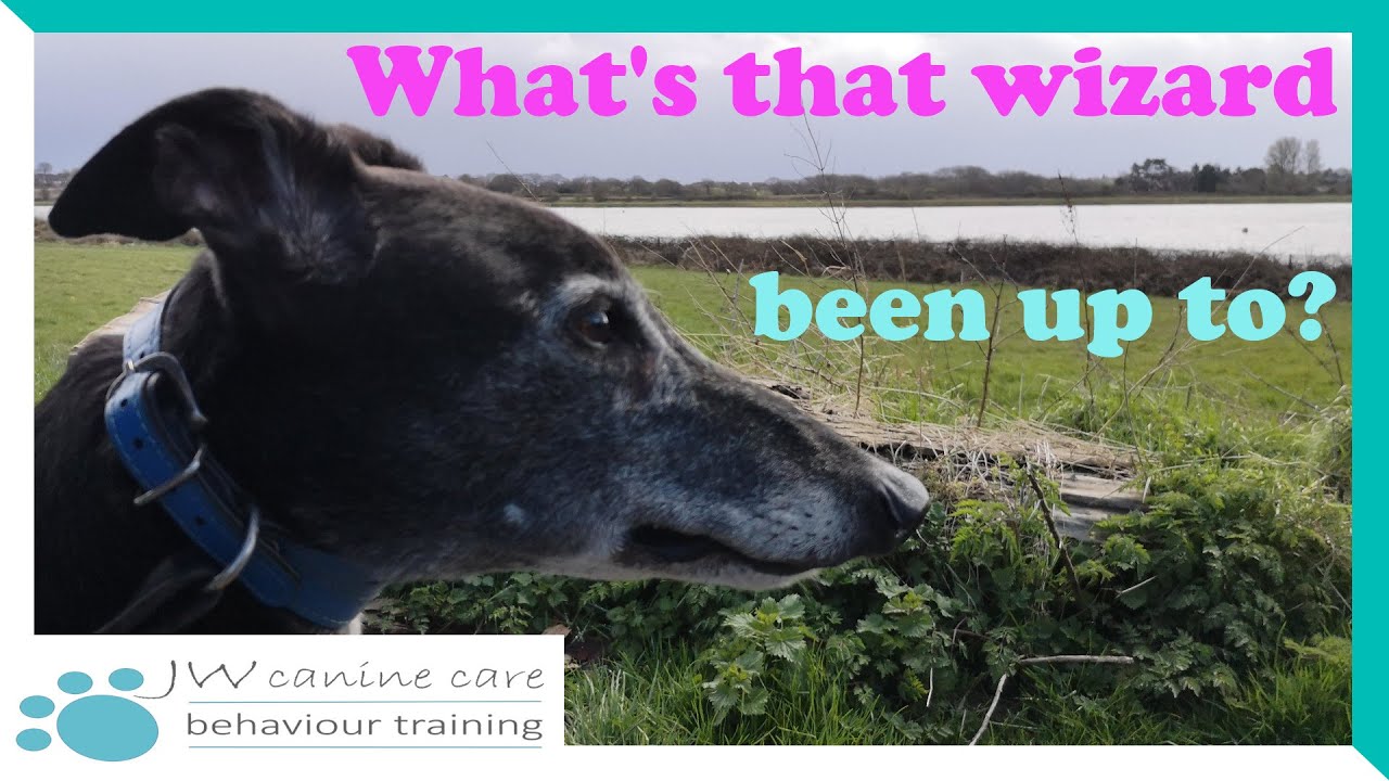 A wizard's tale - Gandalf's update