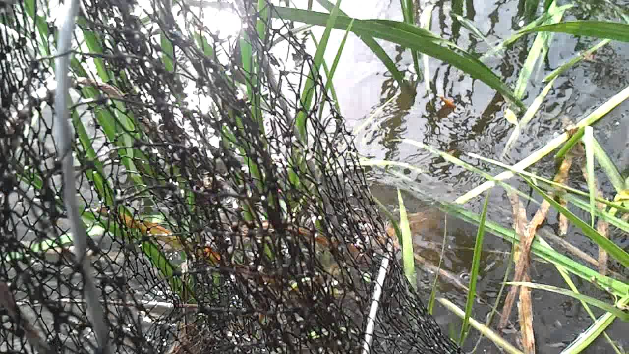 VID 20130902 161044