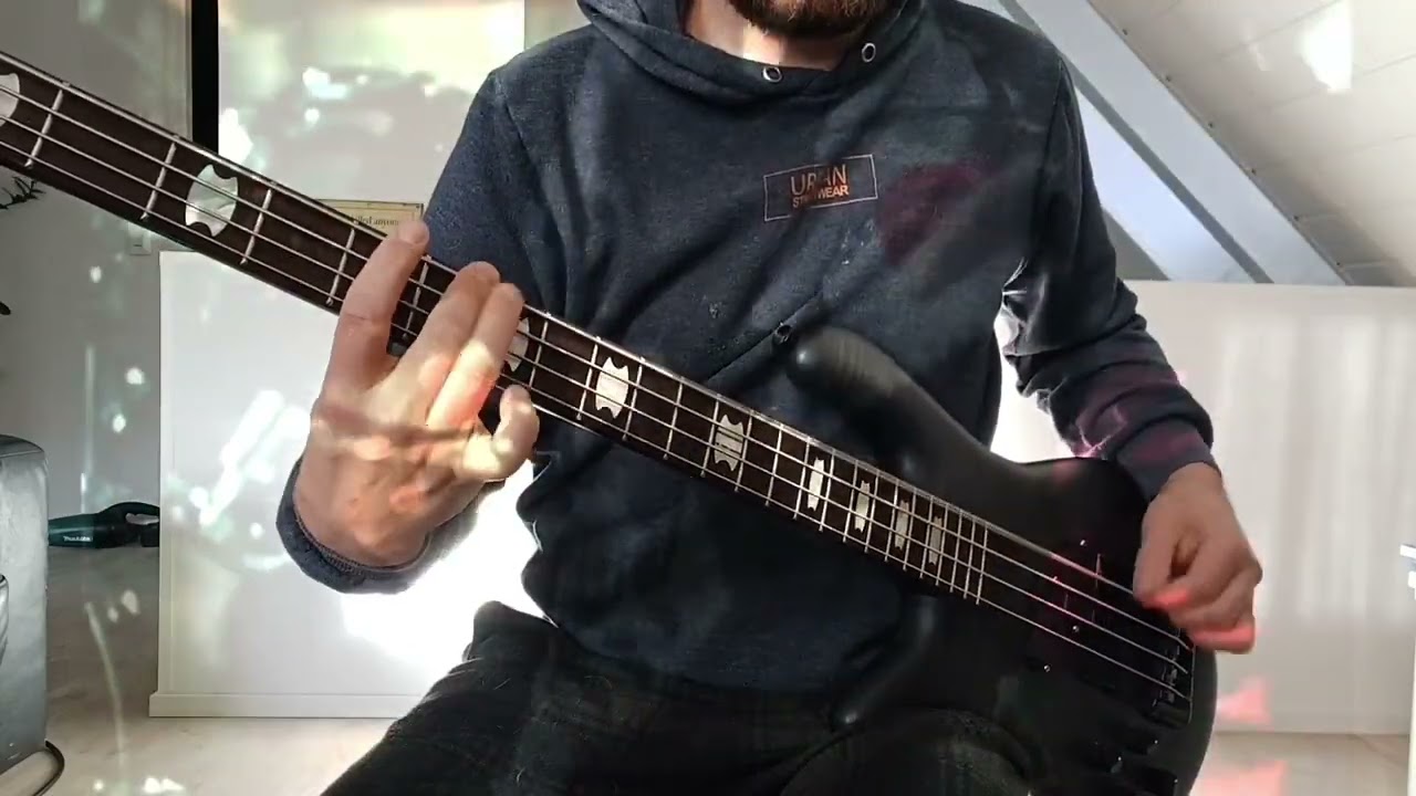 System Of A Down - Sugar (bass cover)