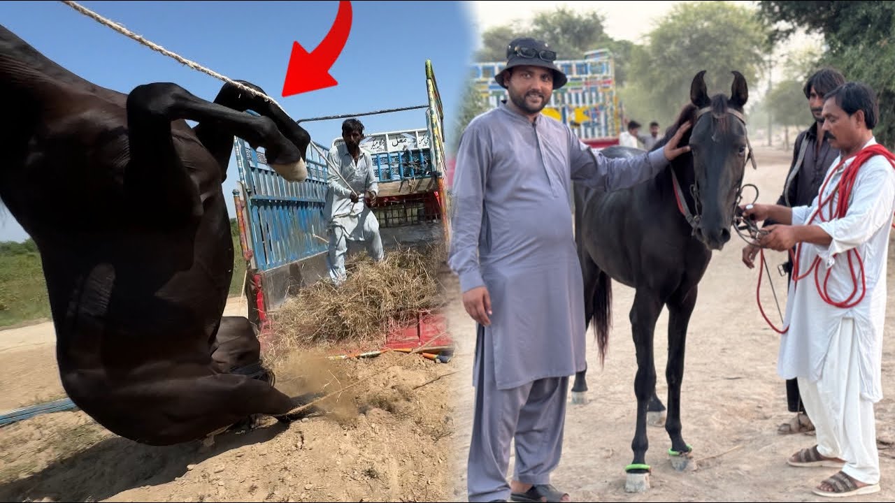 Sultan Ko Training Keliye Academy Bhijwa Dia 