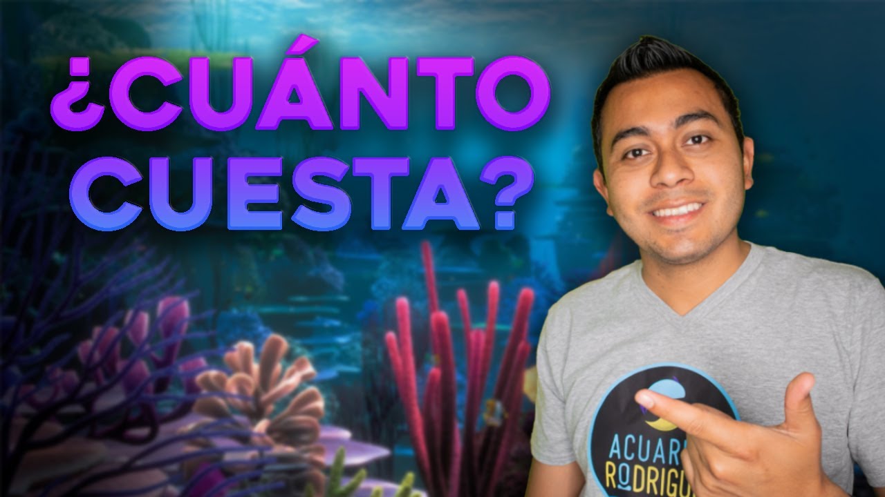 ¿CUÁNTO CUESTA MI ACUARIO MARINO? | EN MÉXICO| ES BARATO?| CORALES