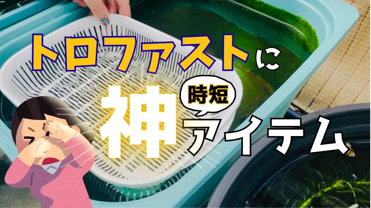 【100均グッズで時短換水】メダカの水槽掃除がラクになる！IKEAトロファストの水換えを簡単にする方法【屋外めだかビオトープ】