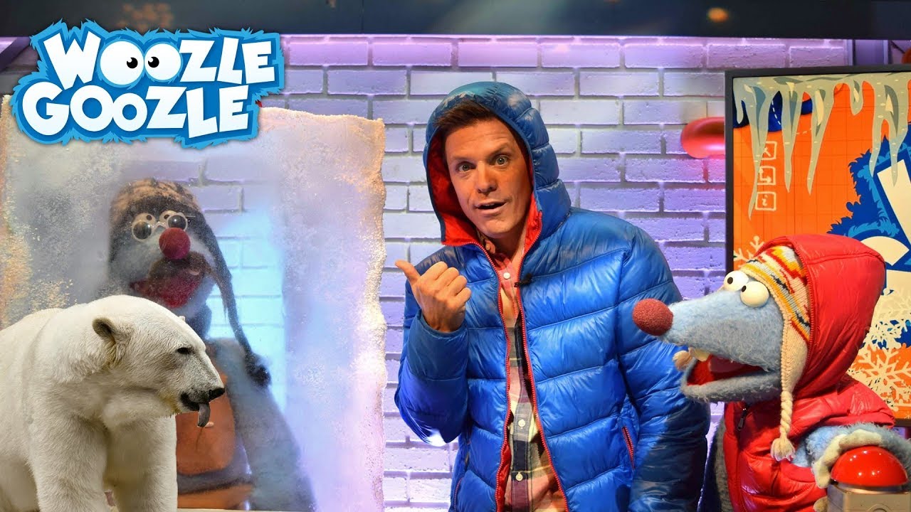 Was sind Polarlichter? I WOOZLE GOOZLE