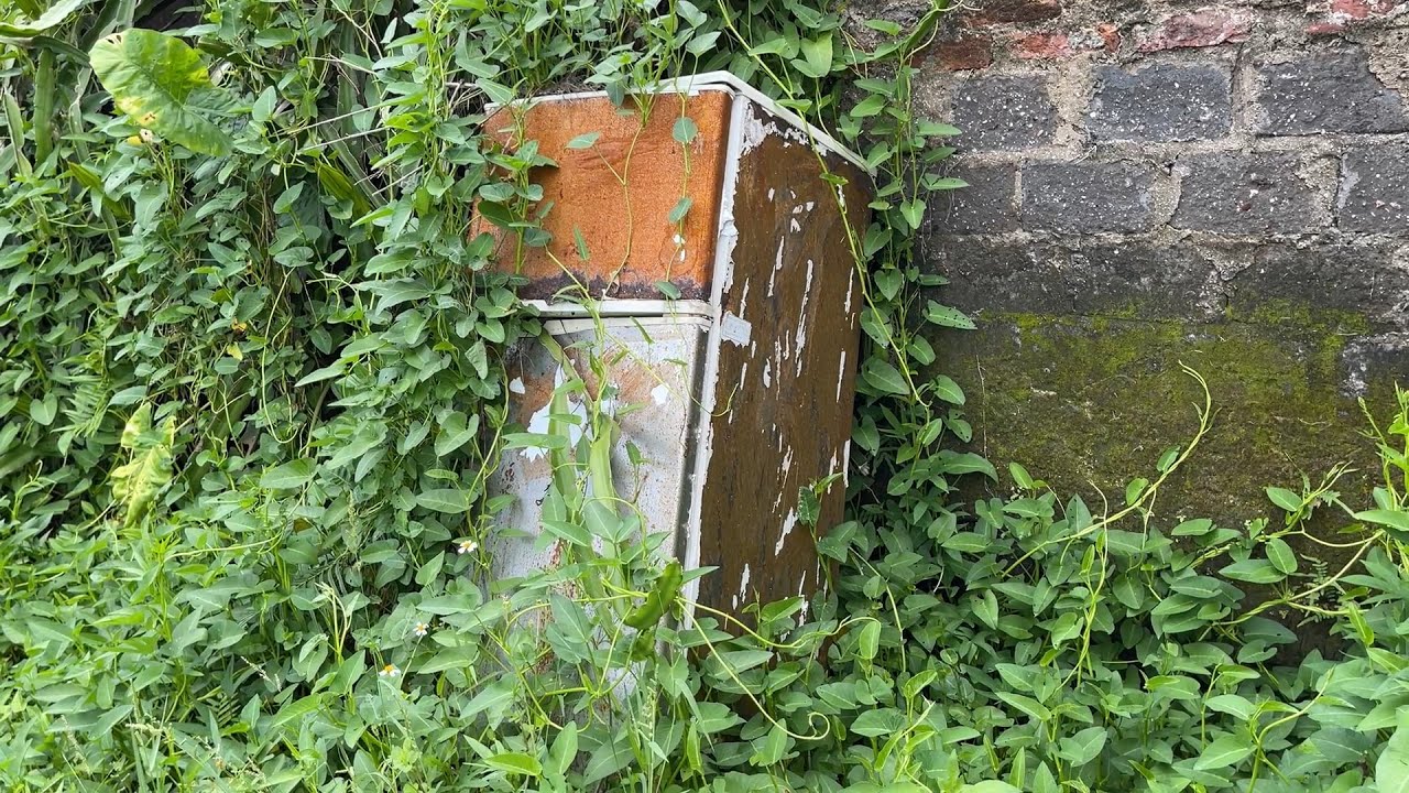 Restoration Severely Damaged Old LG Refrigerator // Restore The Classic 2 Compartment Refrigerator